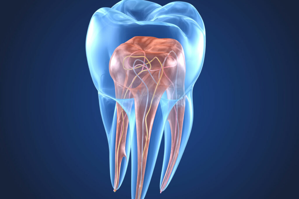 Endodontics